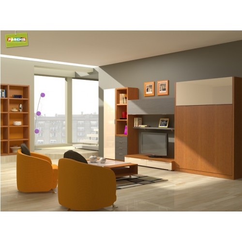 2-SOLUCIONES PARA SALONES CON CAMA ABATIBLE DE MATRIMONIO. TIENDA MUEBLES CONVERTIBLES EN ARGANZUELA.